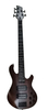 5 STRING BASS GUITAR
