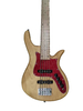 5 STRING BASS GUITAR