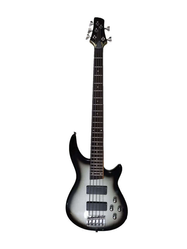 5 STRING BASS GUITAR