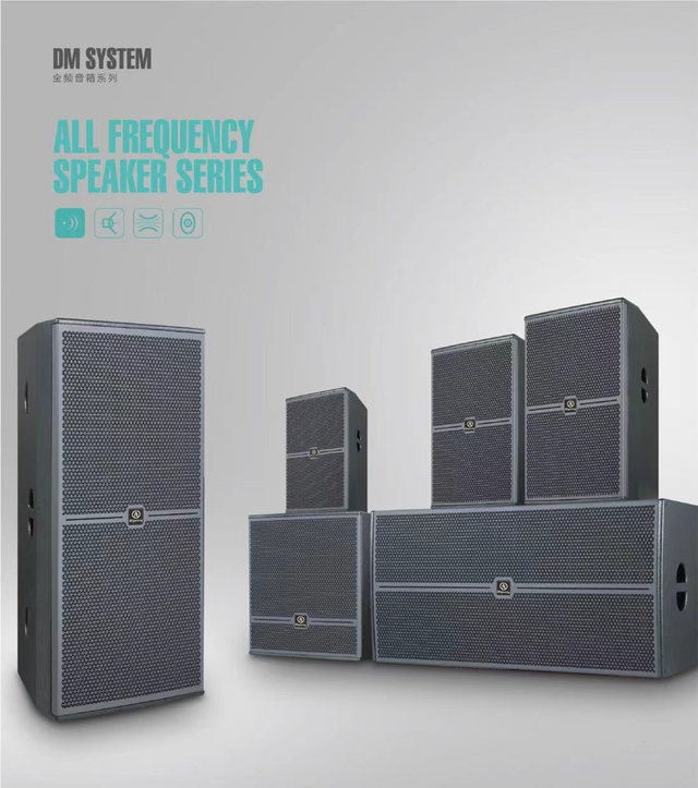 DM SYSTEM ALL FREQUENCY SPEAKER SERIES 10'/12'/15'/18'SINGLEN 15"/18"DOUBLE