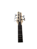 5 STRING BASS GUITAR