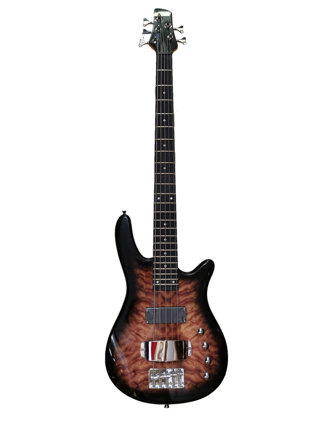 RCF STYLE 5 STRING BASS GUITAR