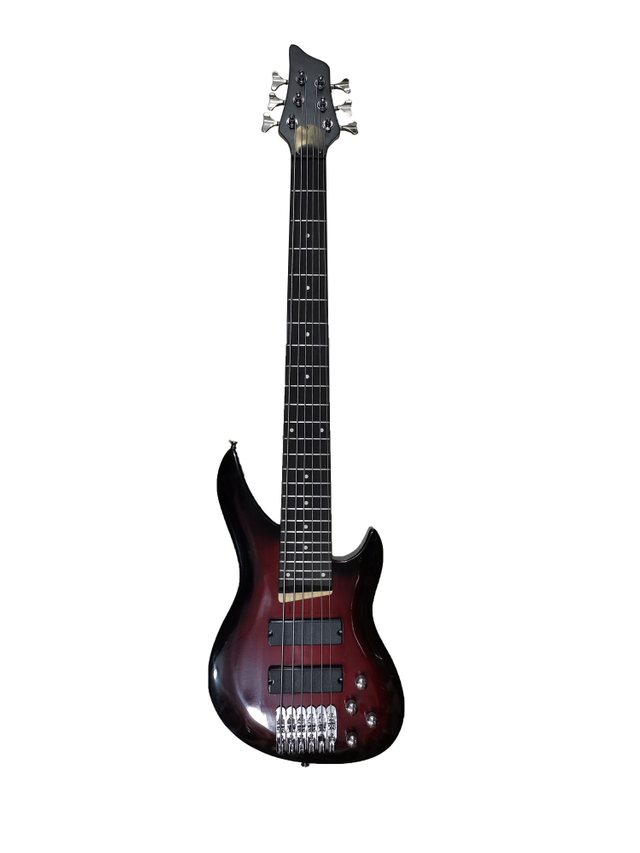 6 STRING BASS GUITAR