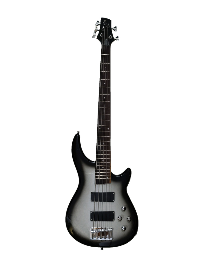 Ibanze style 5 string bass guitar 