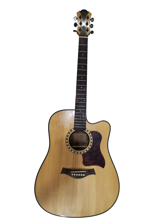 Acoustic guitar MT-66G