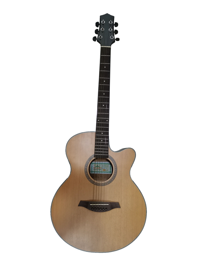 Acoustic Guitar C343