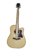 Acoustic Guitar MS-203