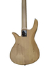 5 STRING BASS GUITAR