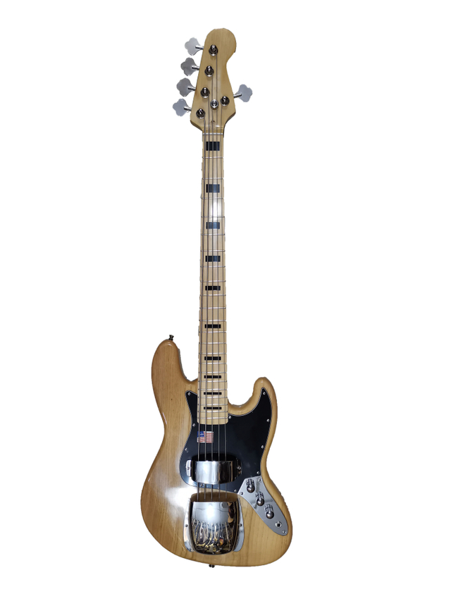 5 STRING BASS GUITAR
