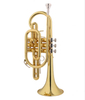 cornet
