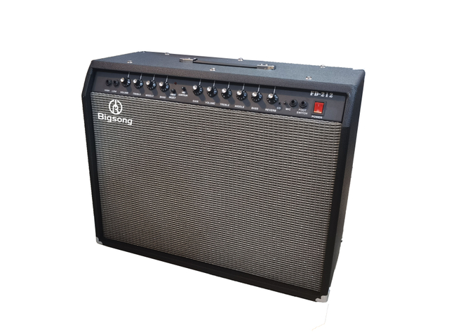 BIGSONG BASS GUITAR COMBO 