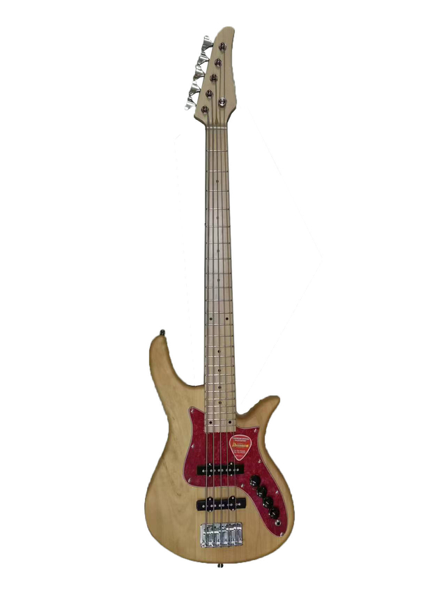 5 STRING BASS GUITAR