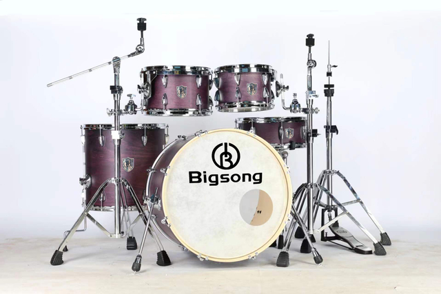 Bigsong Professional Five Drums Purple