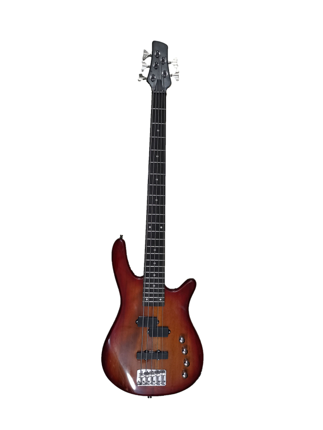 5 STRING BASS GUITAR