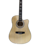 Acoustic Guitar F6000EQ