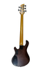 5 STRING BASS GUITAR