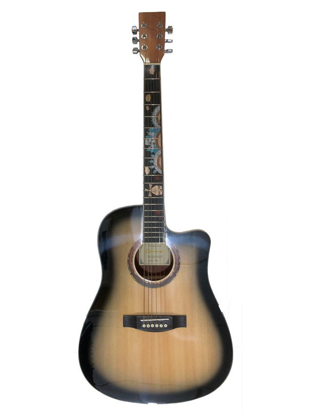 ACOUSTIC GUITAR 