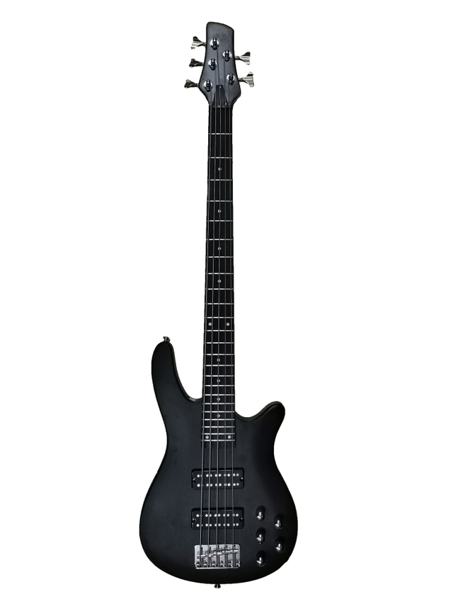 5 STRING BASS GUITAR