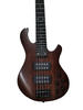 5 STRING BASS GUITAR