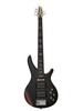 5 STRING BASS GUITAR