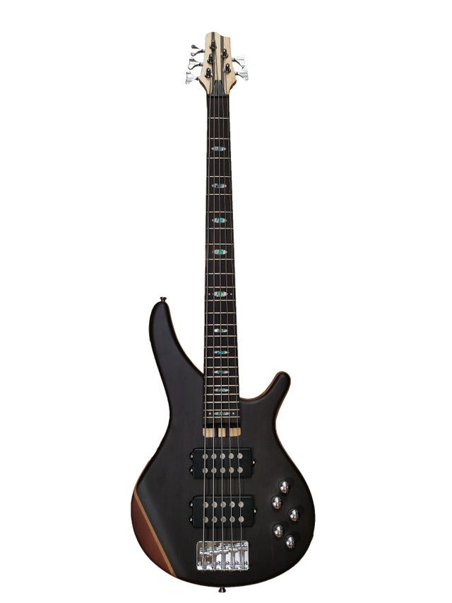 5 STRING BASS GUITAR