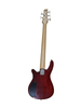 5 STRING BASS GUITAR