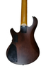 5 STRING BASS GUITAR