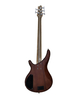 5 STRING BASS GUITAR