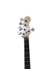 5 STRING BASS GUITAR