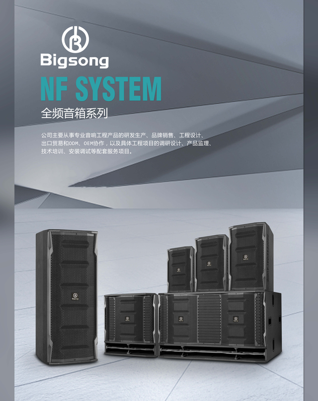 Bigsong NF Series Speaker