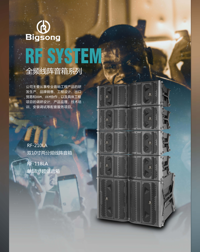 Bigsong RF LINE ARRAY SPEAKER